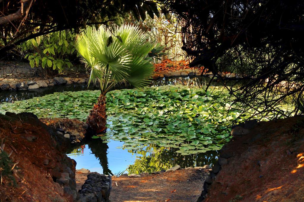 Apartments Finca El Rincon La Orotava Dış mekan fotoğraf