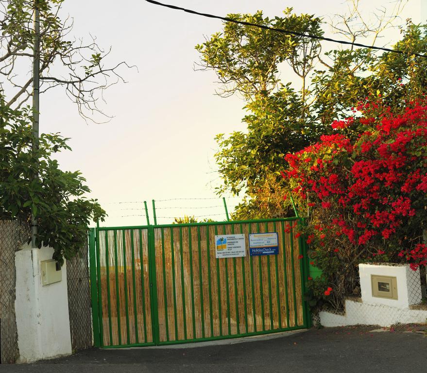 Apartments Finca El Rincon La Orotava Dış mekan fotoğraf