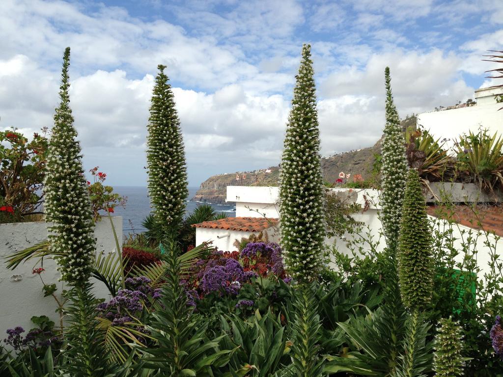 Apartments Finca El Rincon La Orotava Oda fotoğraf